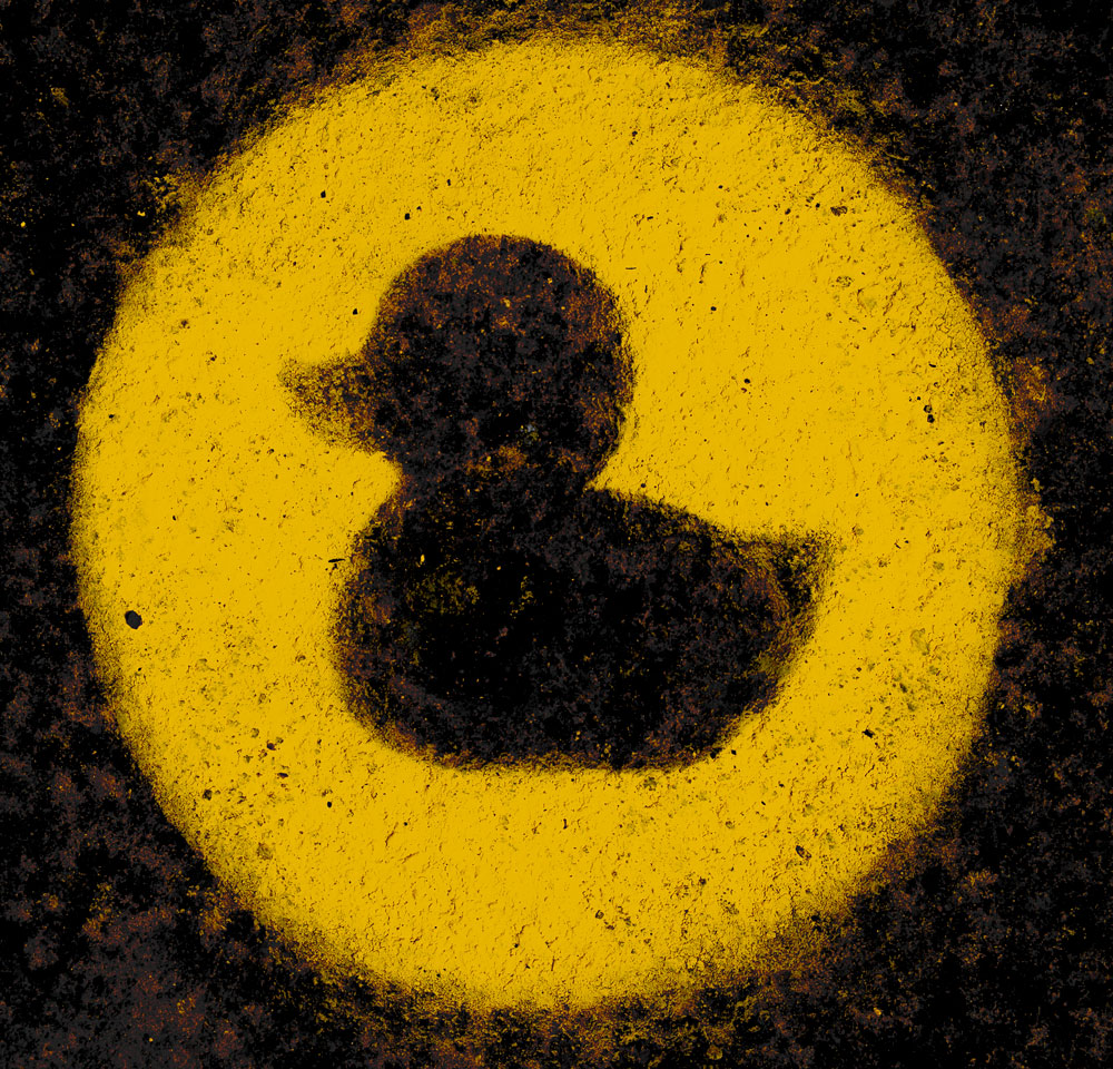 The-Search-Duckbackground